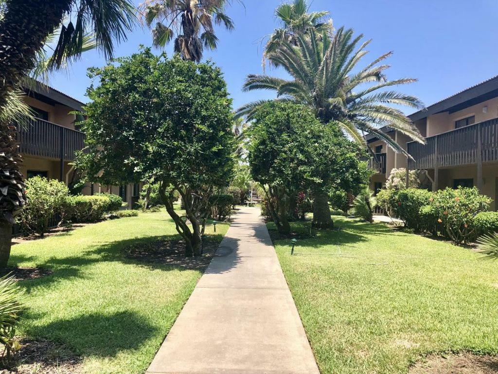 The Tiki- Beach Front Complex! Unit 106 사우스 파드레 아일랜드 외부 사진